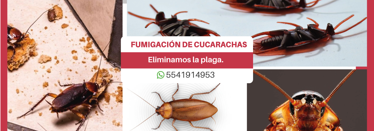 Control de Plaga - Fumigacion Cucarachas, Elimina Plaga de cucarachas, Fumigar cucarachas, y Garantizamos el Trabajo