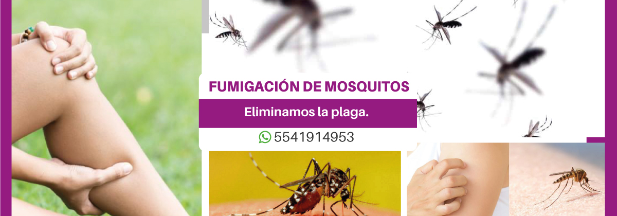 Control de Plaga - Fumigación moscas chinches mosquitos y más CDMX y EDO MÉX, Somos Adversum 30 años de Experiencia