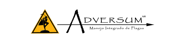 Adversum